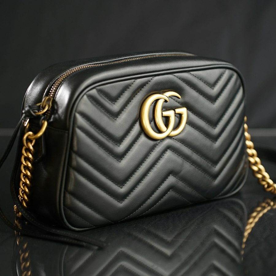 Gucci Chevron Camera Bag